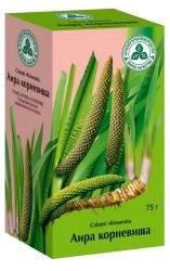 Аира корневища